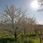I Ciliegi Ginestra 別荘
