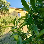 I Ciliegi Ginestra 別荘