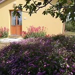 I Ciliegi Ginestra בית נופש Montignano