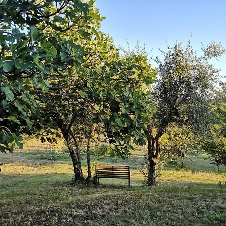 I Ciliegi Ginestra 別荘 Montignano