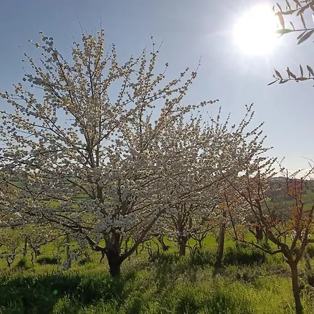 I Ciliegi Ginestra Dom wakacyjny