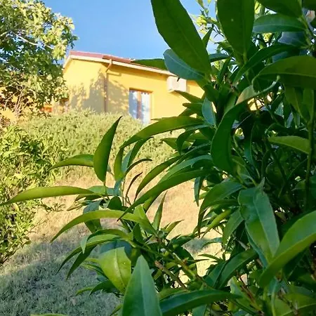 I Ciliegi Ginestra Dom wakacyjny