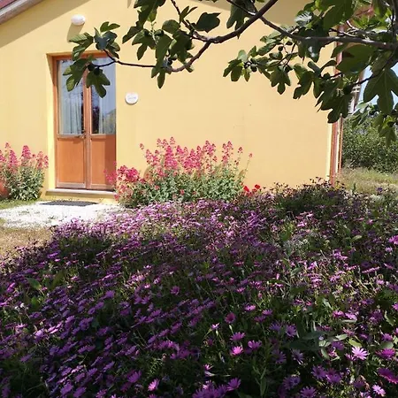 I Ciliegi Ginestra Holiday home Montignano