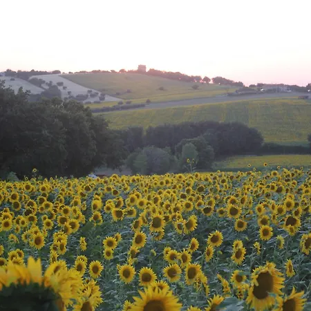 I Ciliegi Ginestra Holiday home *